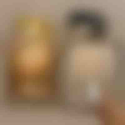 Drita magnetike | ARTIONIC